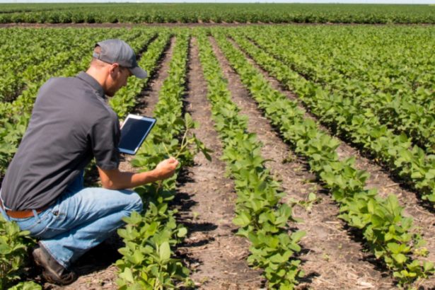 Antônio Augusto de Souza Coelho